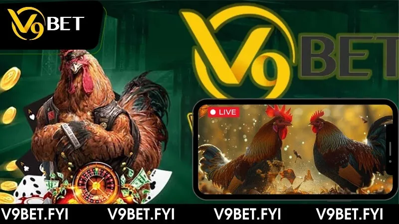 Tìm hiểu chi tiết hình thức đá gà trên casino cùng V9bet