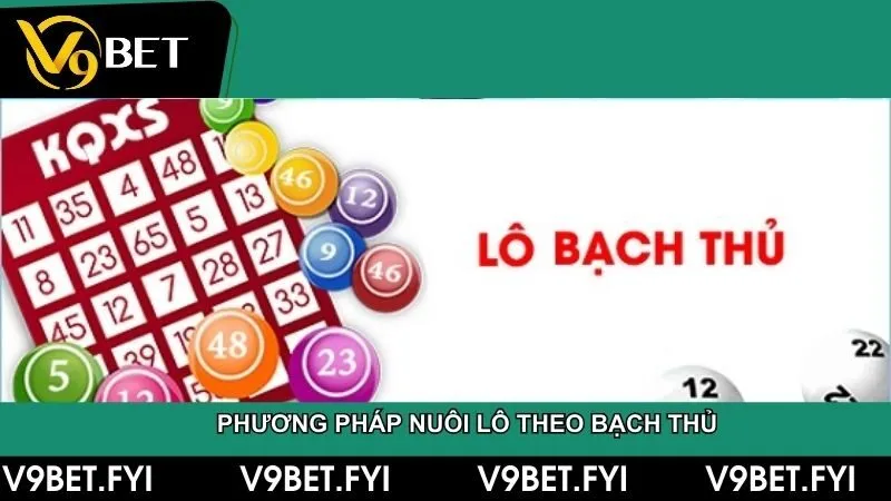 Nuôi lô theo bạch thủ sẽ có tỉ lệ thắng thấp hơn nhưng tiết kiệm nhiều chi phí