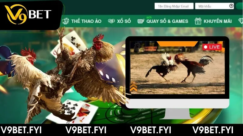 Dự đoán từng kết quả trong đá gà trên Casino tại V9bet