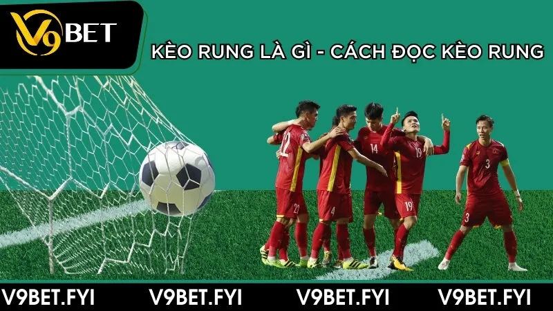 Giải đáp kèo rung là gì và cách đọc chuẩn xác cùng V9bet