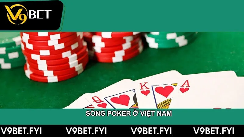 Đánh giá sòng poker ở Việt Nam